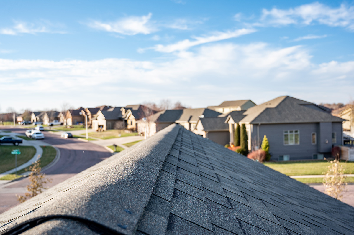 Roof Inspection